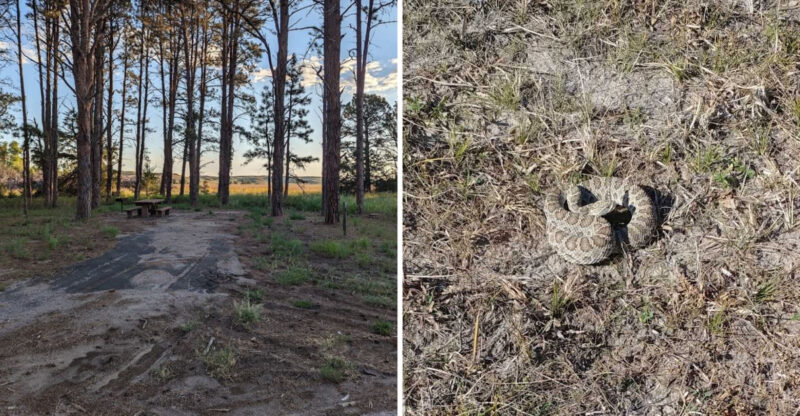 8 Nebraska Locations Where You May Encounter Rattlesnakes