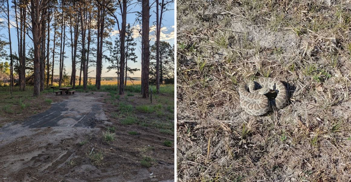 8 Nebraska Locations Where You May Encounter Rattlesnakes - Decor Hint