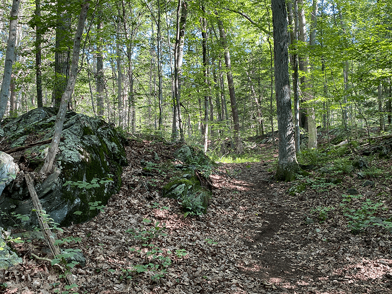 8 Quiet Hiking Trails In Connecticut That Tourists Haven't Discovered Yet - Decor Hint The Ledges, Brookfield