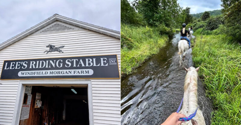 8 Scenic Places To Go Horseback Riding In Connecticut