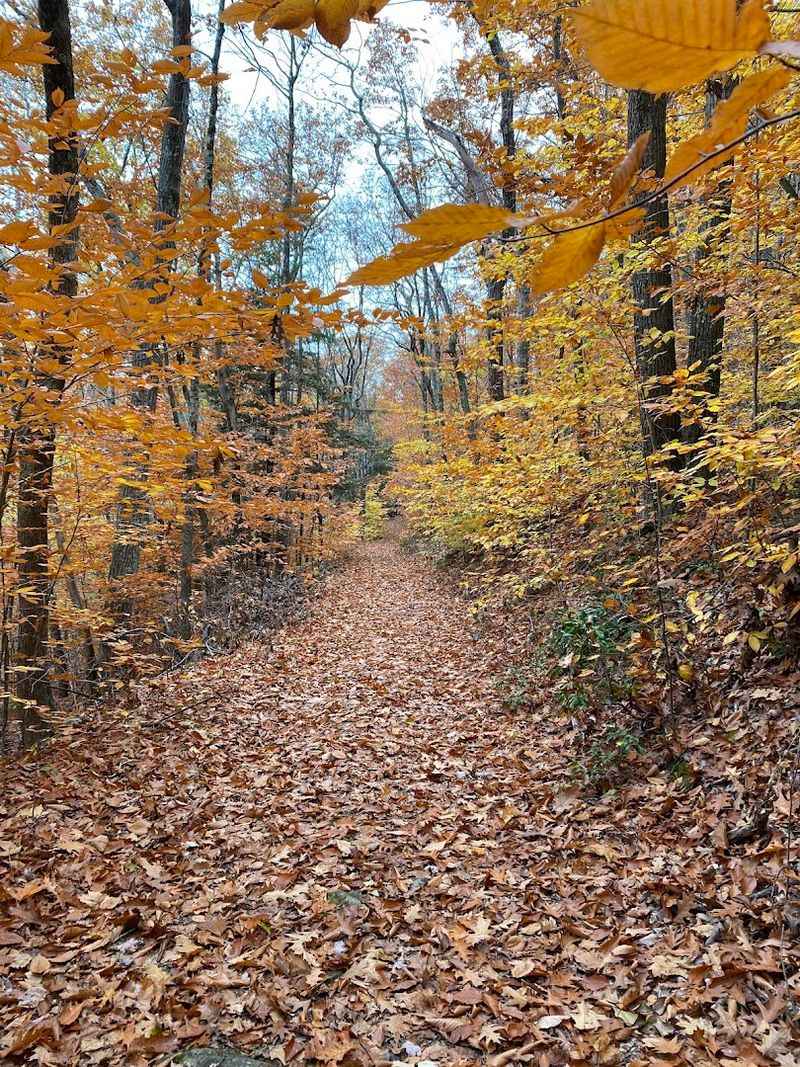 Haystack Tower Trail At Haystack Mountain State Park, Norfolk