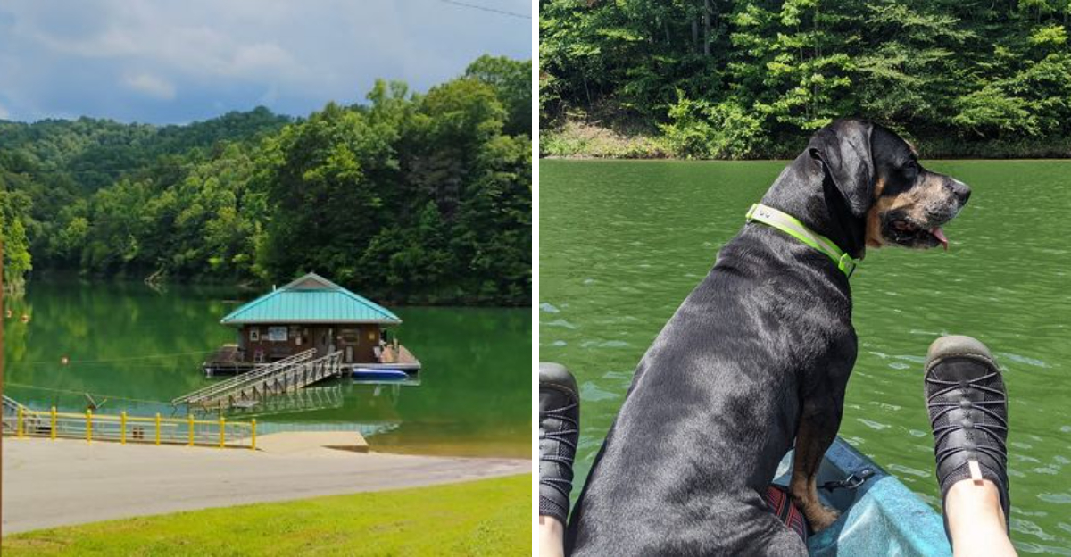 9 Kentucky Lake Parks And Waterfront Areas Your Pup Will Absolutely Love 2 - Decor Hint
