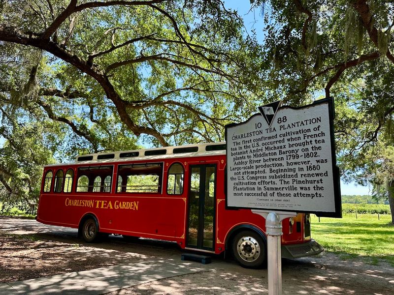 Charleston Tea Garden, Wadmalaw Island