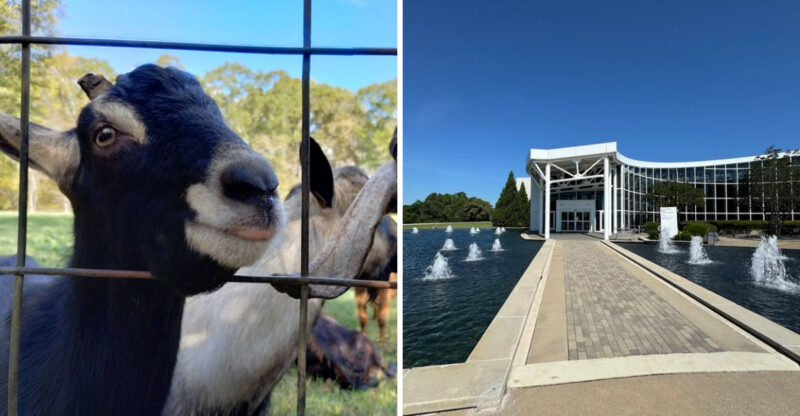 9 South Carolina Factory Tours Worth Taking On A Memorable Day Trip