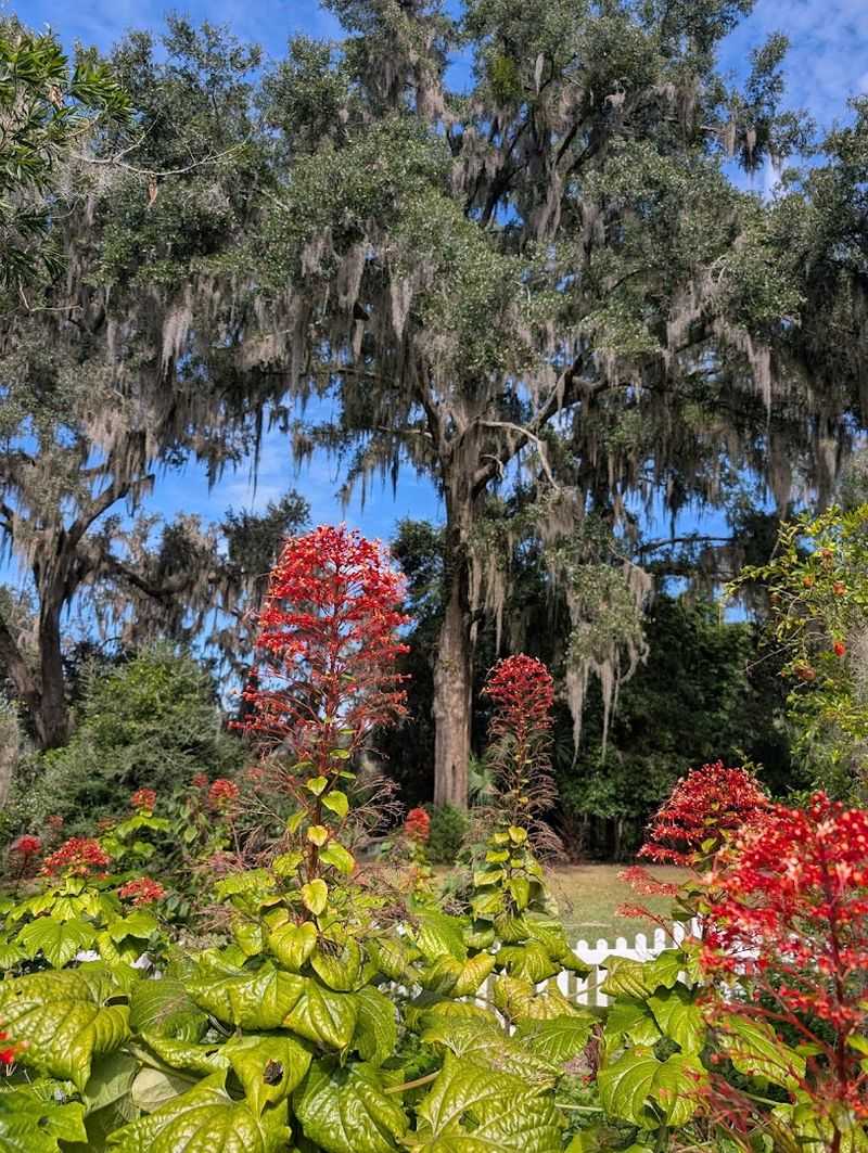Themed Garden Sections Around Every Turn