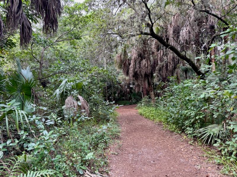 Nature Trails For Peaceful Walks