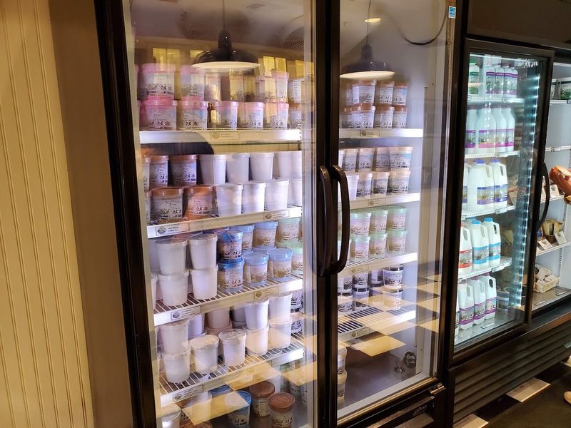 Rich Dairy From A Real Farm