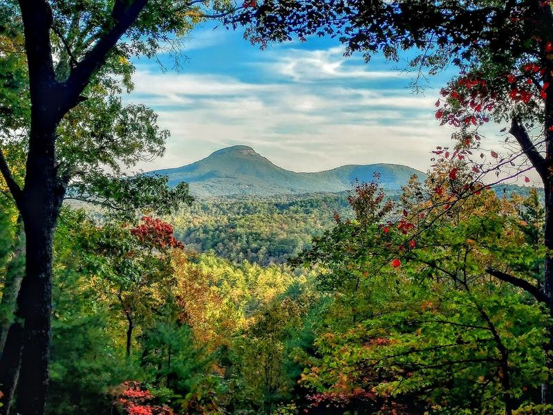 The 5,844-Acre Georgia State Park That So Many People Haven't Discovered - Decor Hint The Trail System That Rewards Every Fitness Level