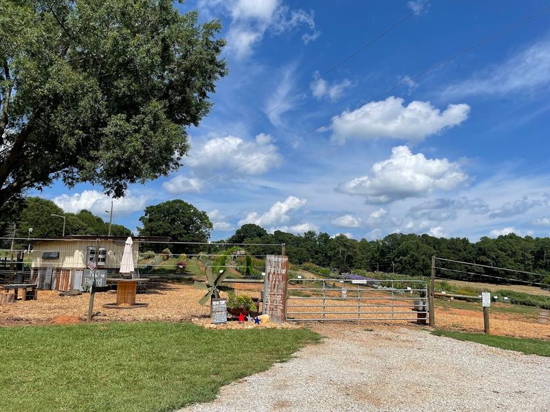 This Charming Georgia Farm Lets You Pick Fresh Flowers, Seasonal Produce, And Pure Country Peace - Decor Hint Pasture-Raised Beef And Farm Store Finds
