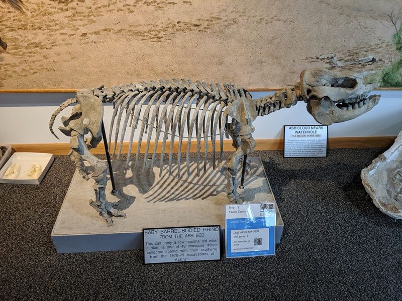 The Skeletons Were Preserved In Three Dimensions