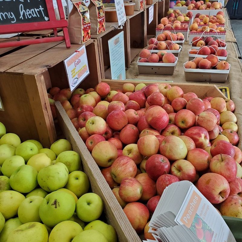 Why This Kentucky Orchard Deserves A Spot On Your List