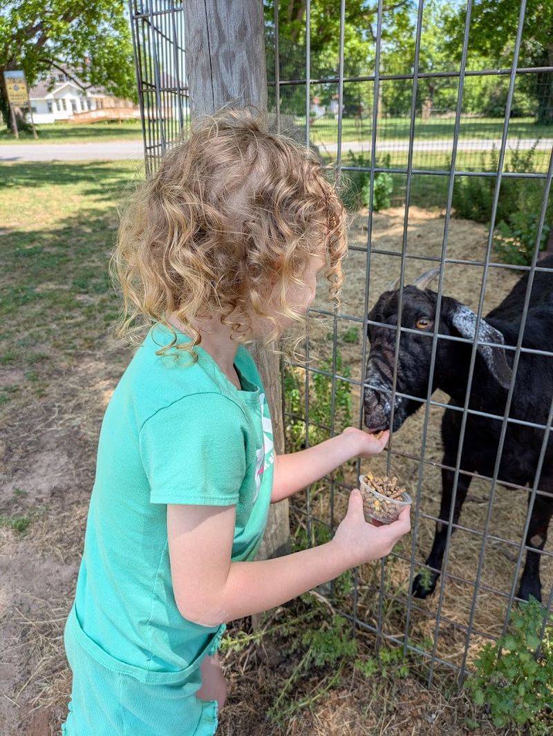 This Georgia Country Store Is Packed With Bulk Deals And Homemade Goods - Decor Hint A Scenic Drive Through Mennonite Farmland Makes The Trip Complete