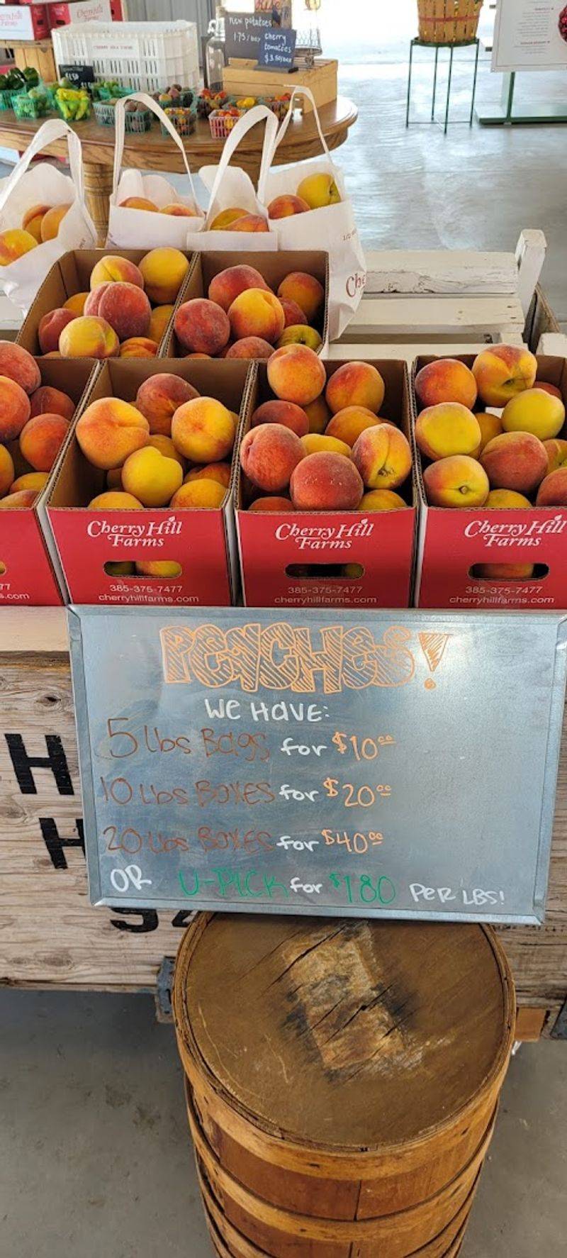 Peach Season Timing And Varieties