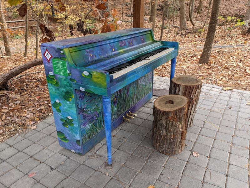 The Last Thing You Expect On A Forest Trail