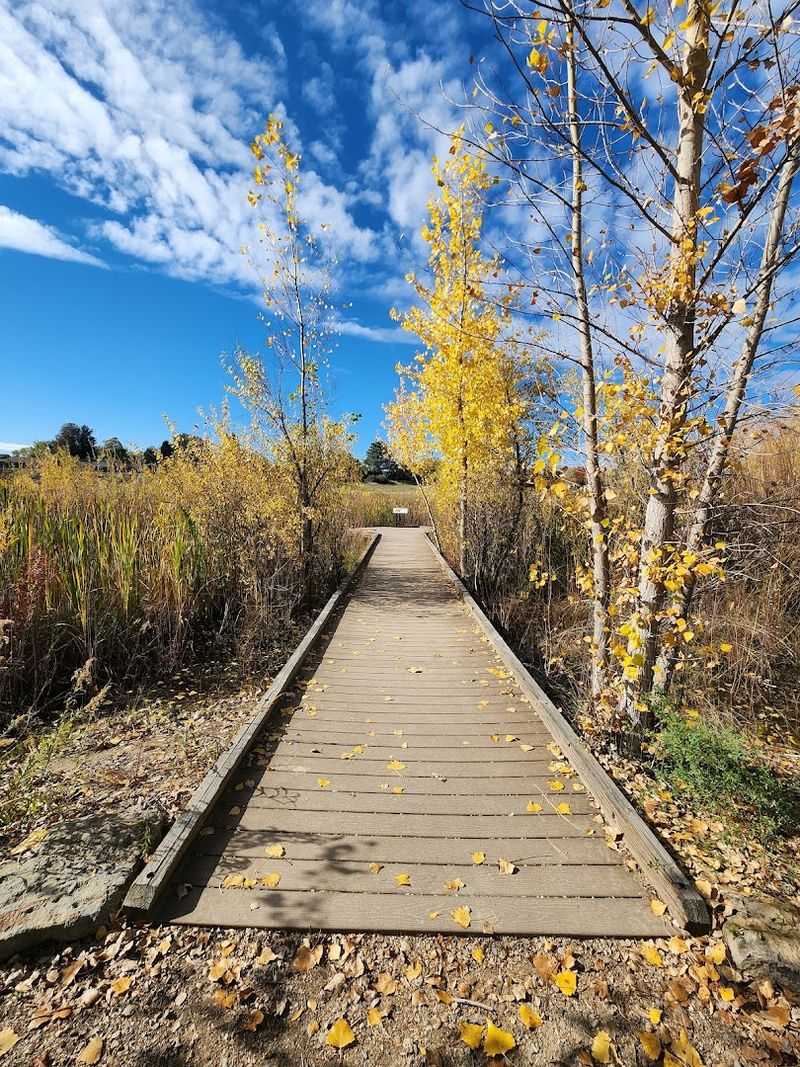 The Trail System And What to Expect