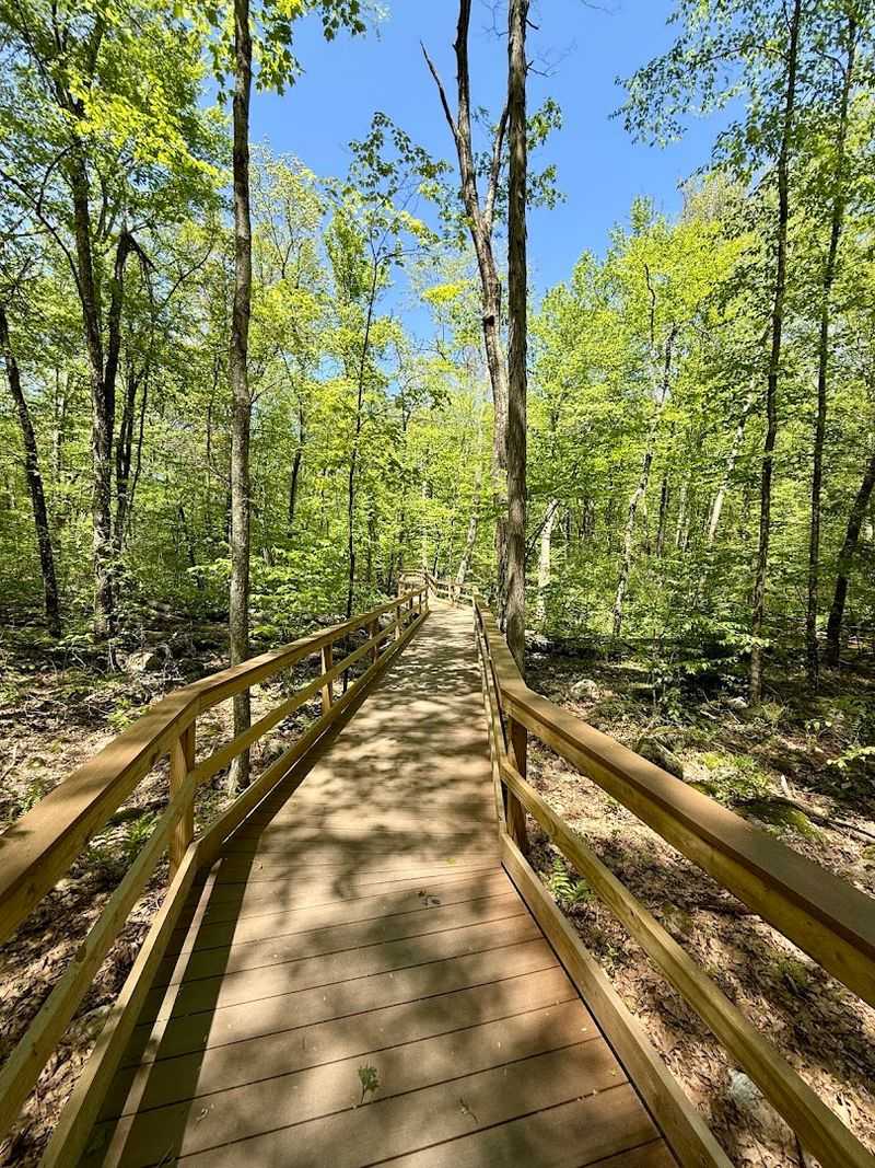 This Senior-Friendly Connecticut Nature Trail Offers Benches, Shade, And A Peaceful Woodland Walk - Decor Hint Smooth Paths Make The Walk Feel Easy