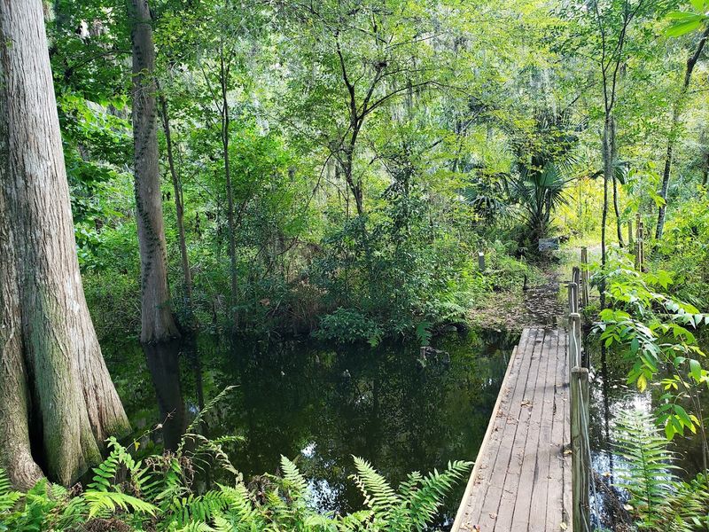 Trails For Every Kind Of Walker