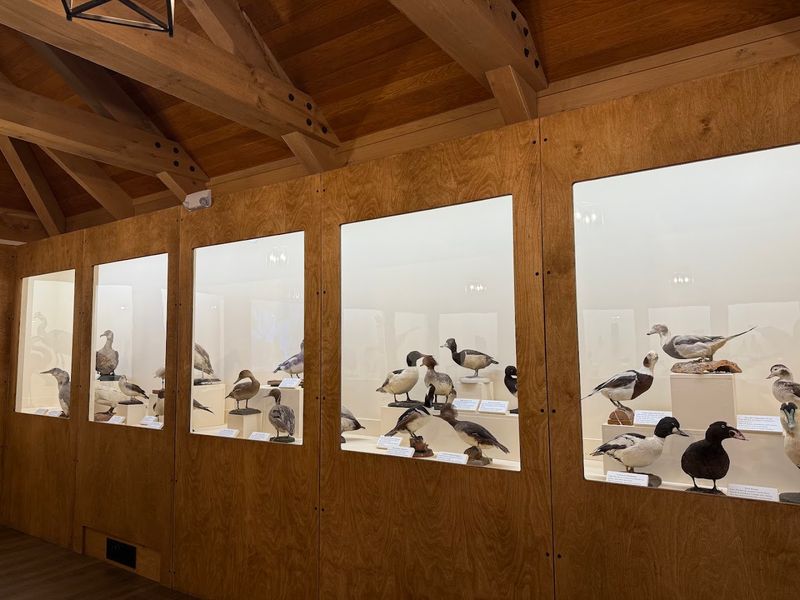 The Nation's Oldest Songbird Sanctuary Is Hidden Right Here In Connecticut - Decor Hint Inside The Birdcraft Museum