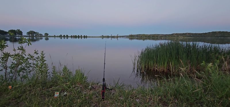 Fishing That Actually Delivers