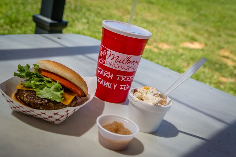 Mulberry Kitchen Food That Feels Like A Real Meal
