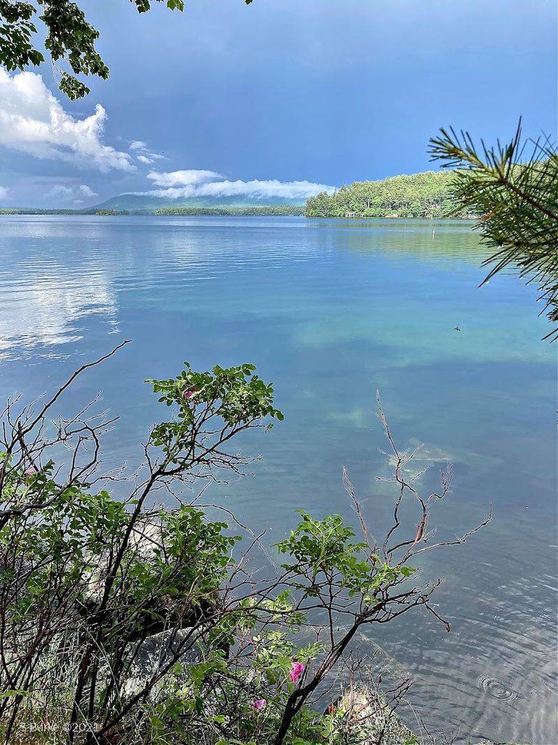 One Of The Nation's Best Swimming Lakes Calls New Hampshire Its Home - Decor Hint The Water Quality Is Exceptional