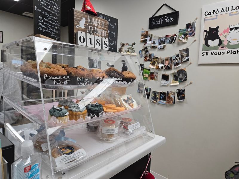 Coffee And Pastries Served Beside A Separate Cat Lounge