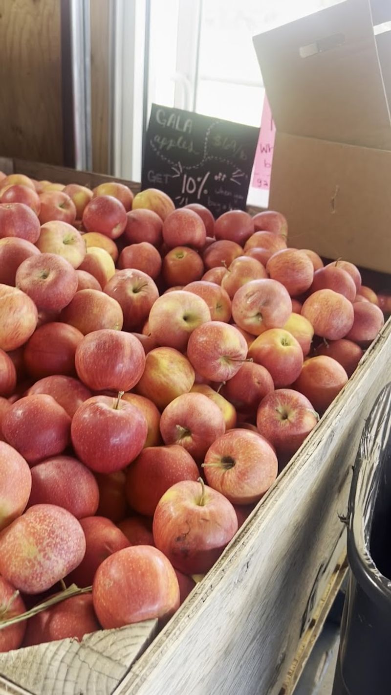 This Beloved Idaho Country Market Is Worth Visiting For Local Produce And Farm-Fresh Finds - Decor Hint Fresh Produce Worth The Drive