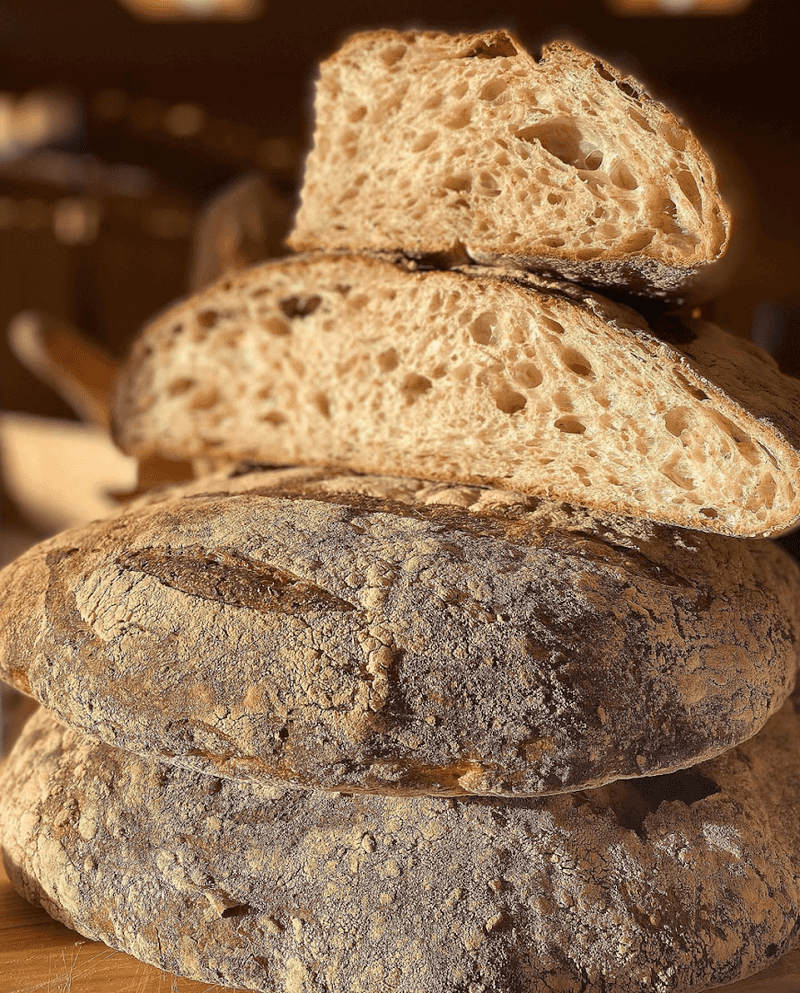 A Roman Apprentice Became The Master Baker
