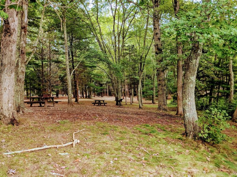 This Peaceful State Park In Connecticut Makes It Easy To Leave Your Stress Behind - Decor Hint Why Campers Love The Wooded Setting