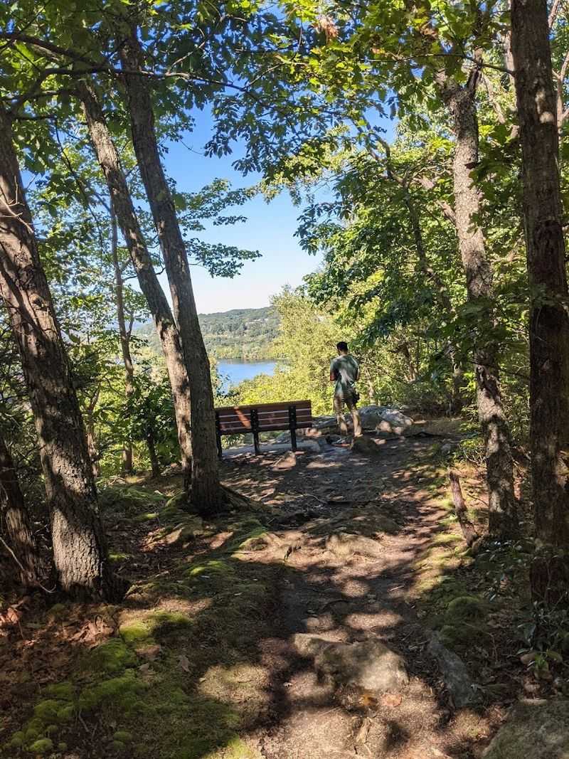 Tucker's Ridge Hides A View Above The Western Woods