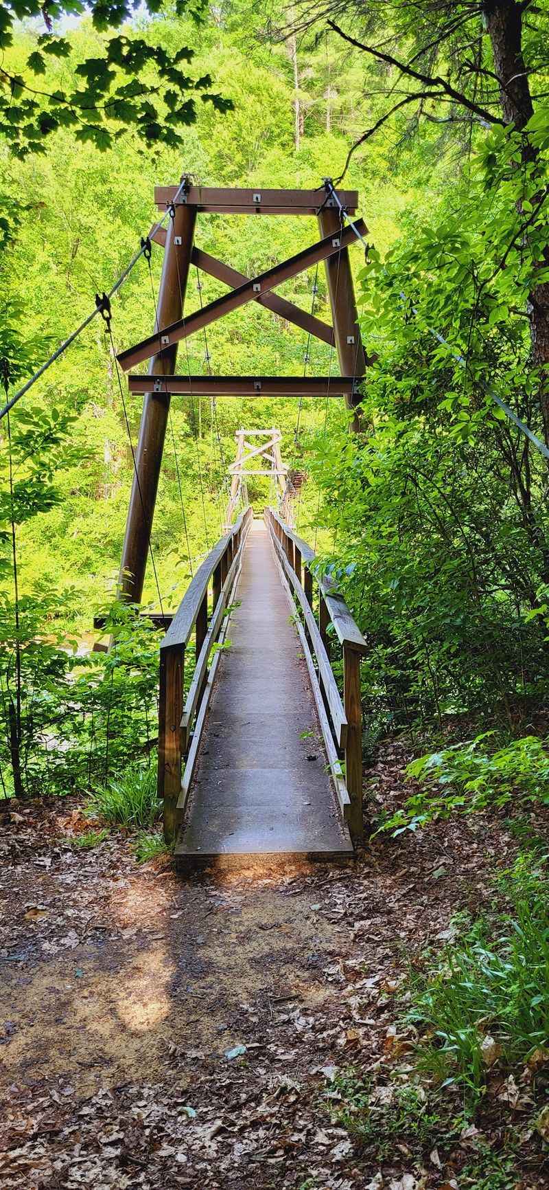Hiking Trails That Match Every Skill Level