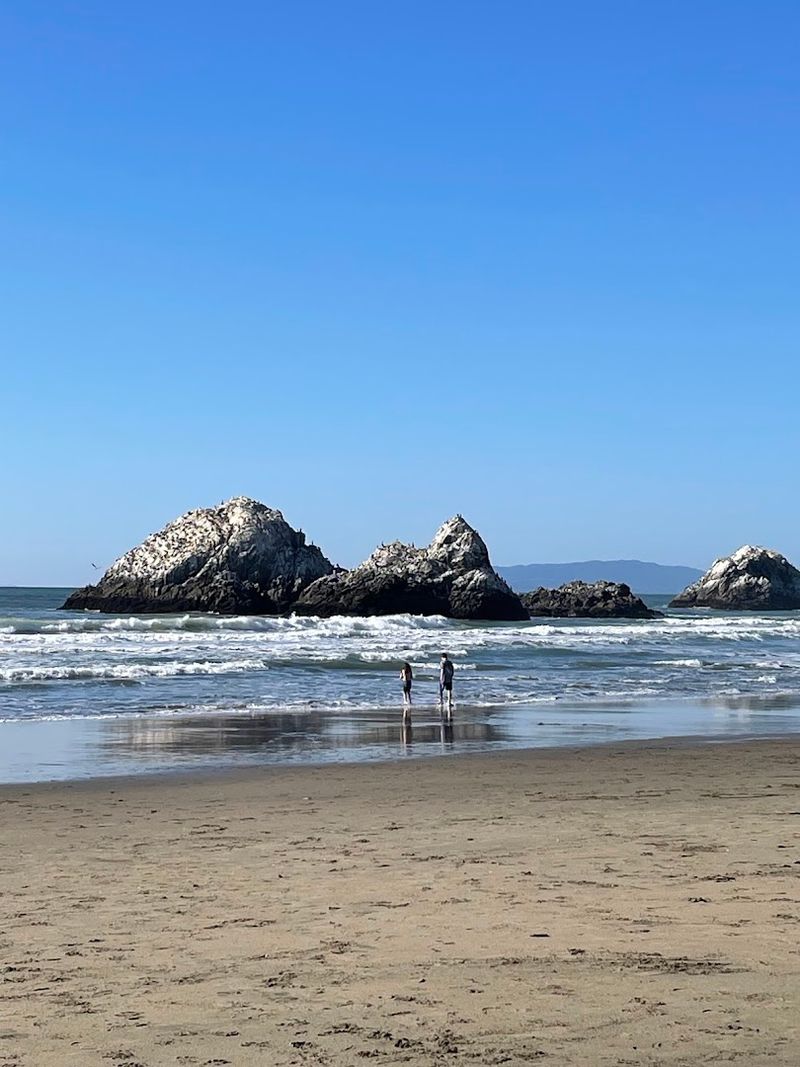 This San Francisco, California Beach Reveals A 19th-Century Clipper Shipwreck At Extremely Low Tide - Decor Hint The Entire Crew Made It Safely Ashore