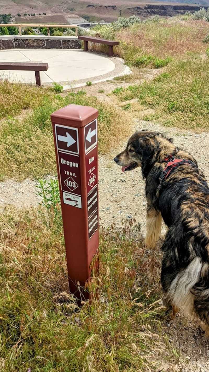 This Secluded Idaho Hike Leads To Centuries-Old Wagon Ruts - Decor Hint Trail Conditions Worth Knowing