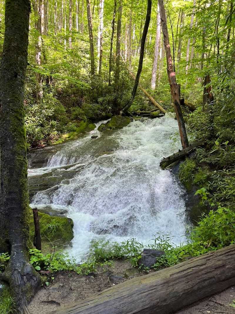 The Waterfall Stop Turns The Ride Into A Real Moment