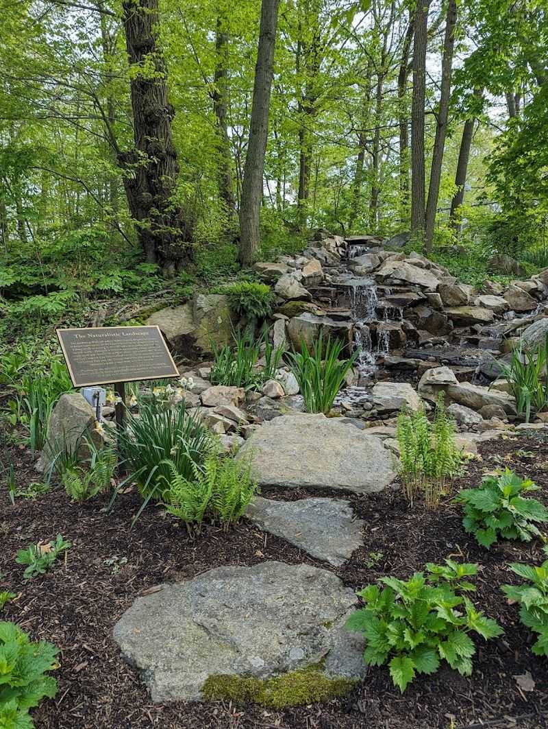 The Nation's Oldest Songbird Sanctuary Is Hidden Right Here In Connecticut - Decor Hint Five Acres Made For Songbirds
