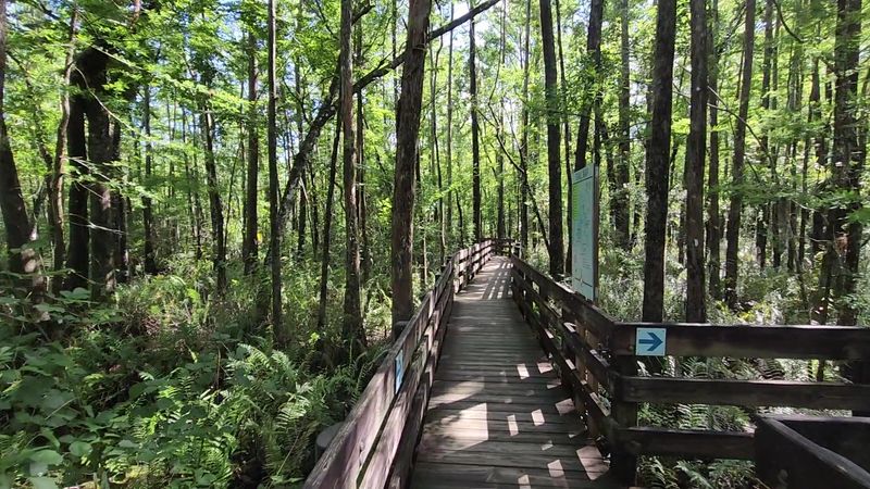The Trail That Started It All