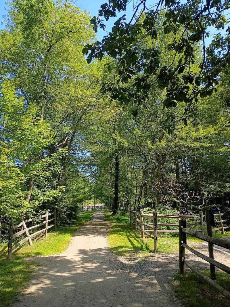 Creek Views Appear Between The Wooded Stretches