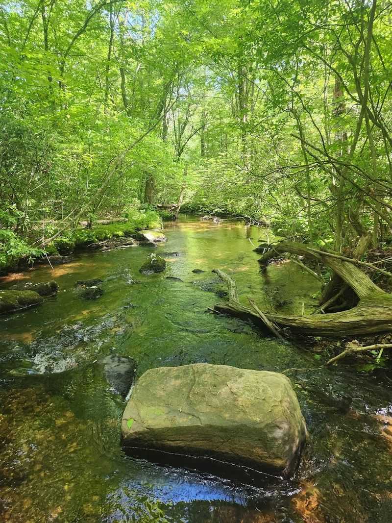 This Senior-Friendly Connecticut Nature Trail Offers Benches, Shade, And A Peaceful Woodland Walk - Decor Hint Wildlife Sightings Keep The Route Interesting