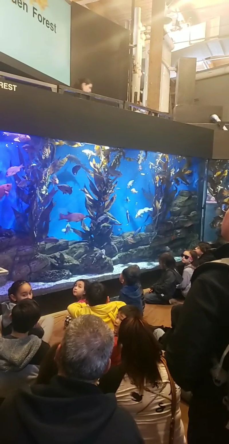 This Historic Northern California Lighthouse Sits Beside A Secluded Cove With A Fascinating Past - Decor Hint There Is A 240-Gallon Seawater Aquarium