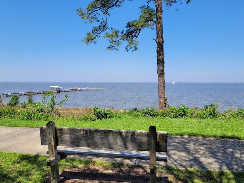 Mobile Bay Views Are Unreal