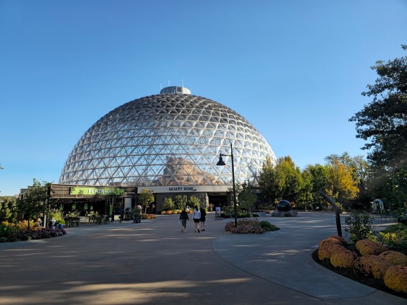 The Desert Dome Up Close