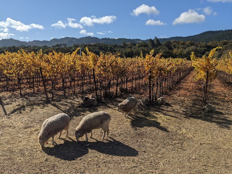 12 Northern California Factory Tours Built For A Fun Behind-The-Scenes Day Trip - Decor Hint Pennyroyal Farm Tour, Boonville, California