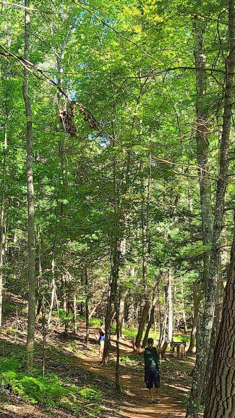 Follow Nearby Trails After The Beach