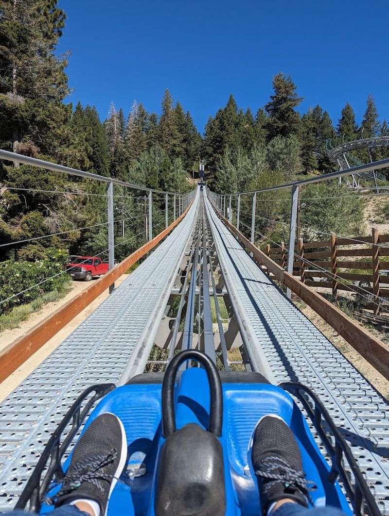 This Idaho Mountain Playground Has Summer Trails, Bluebird Views, And A Coaster Flying Through The Trees - Decor Hint Cool Off Above The Valley Heat