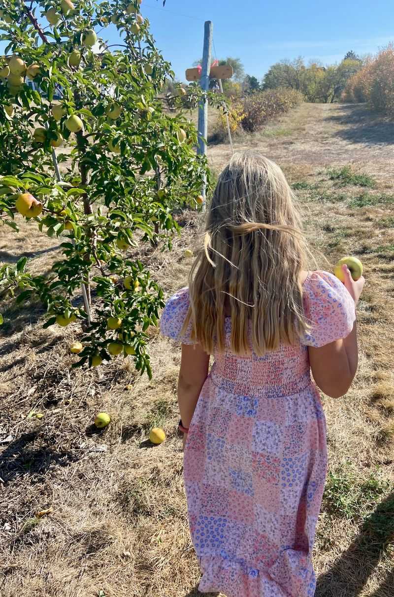 There Is A Small Picking Option For Children