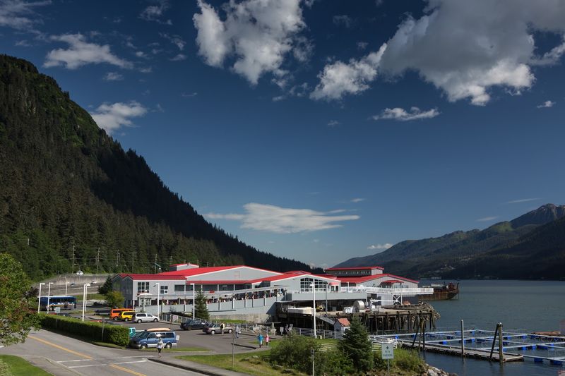 11 Fun Things To Do In Juneau, Alaska On Your Next Visit - Decor Hint DIPAC Macaulay Salmon Hatchery