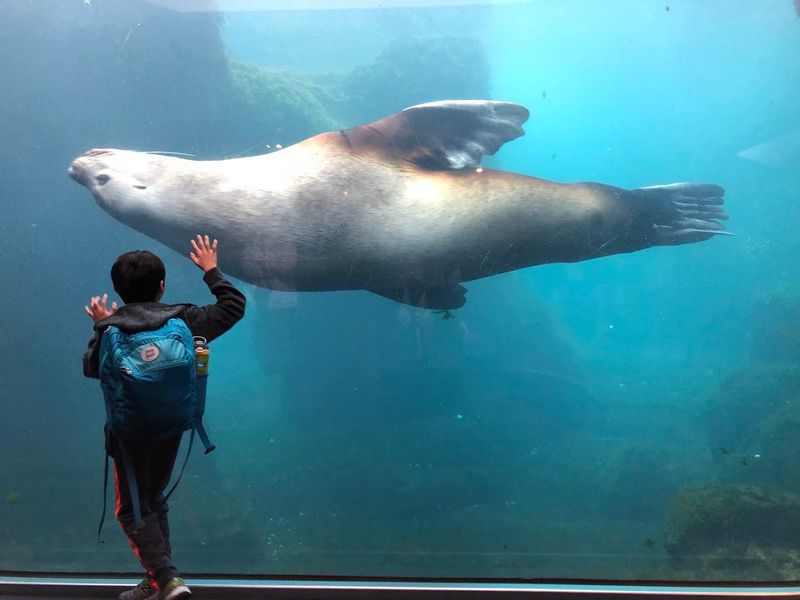 Alaska SeaLife Center, Seward