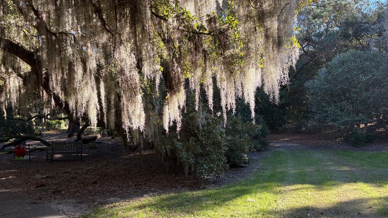 Wilmington's Coastal Garden Adds The Perfect Backdrop