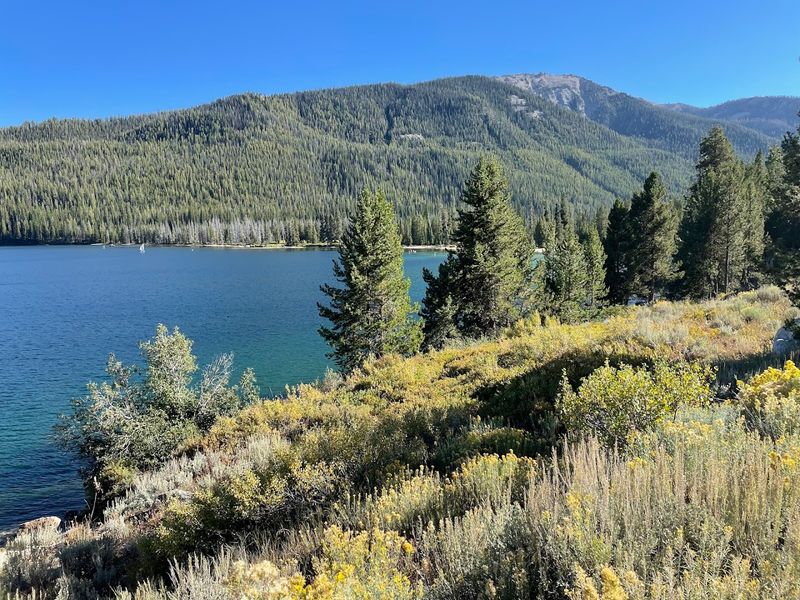 Plan The Ultimate 3-Day Idaho Summer Road Trip With These 9 Stops - Decor Hint Sawtooth National Recreation Area Visitor Center, Ketchum