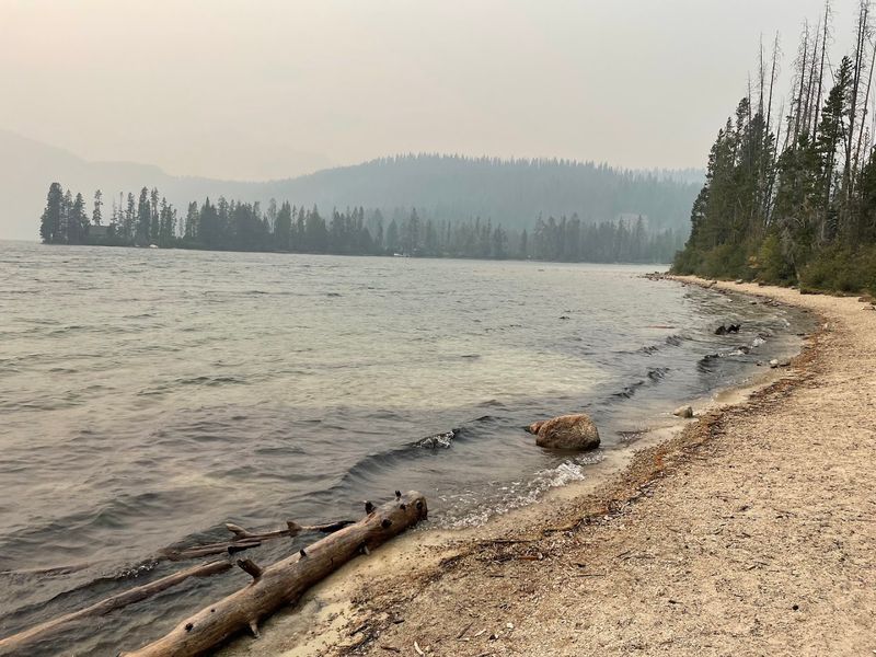 Pettit Lake Shoreline